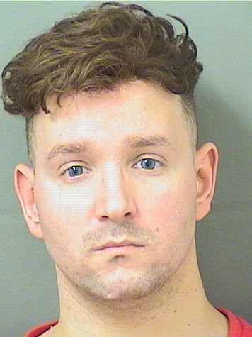  JUSTIN P DEANANDREWS Results from Palm Beach County Florida for  JUSTIN P DEANANDREWS