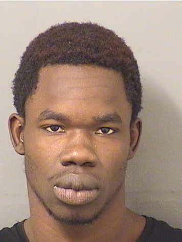  RYAN R RICHARDS Results from Palm Beach County Florida for  RYAN R RICHARDS