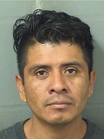  FEDERICO G JUAREZJUAREZ Results from Palm Beach County Florida for  FEDERICO G JUAREZJUAREZ