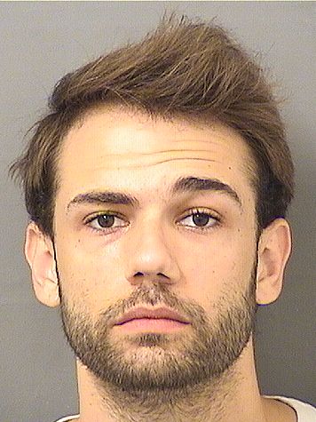  RYAN DAVID RITTER Results from Palm Beach County Florida for  RYAN DAVID RITTER