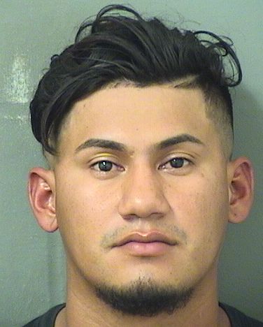  VICTOR MANUEL TREJOSOLIS Results from Palm Beach County Florida for  VICTOR MANUEL TREJOSOLIS