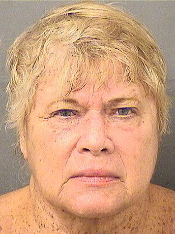  SHARON K BROWN Results from Palm Beach County Florida for  SHARON K BROWN