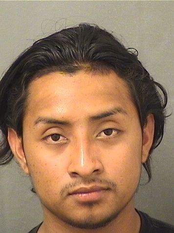 INER ENEAS DELEONGARCIA Results from Palm Beach County Florida for INER ENEAS DELEONGARCIA INER ENEAS DELEONGARCIA Results from Palm Beach County Florida for INER ENEAS DELEONGARCIA