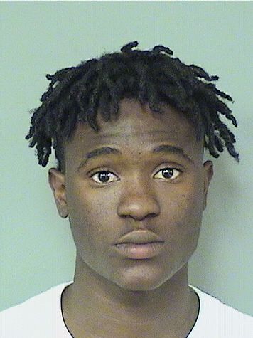  EARTAVIOUS D MCCLAIN Results from Palm Beach County Florida for  EARTAVIOUS D MCCLAIN