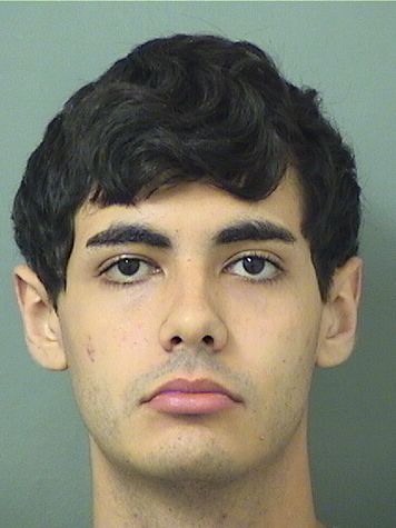  HUNTER PAUL GINGOLD Results from Palm Beach County Florida for  HUNTER PAUL GINGOLD