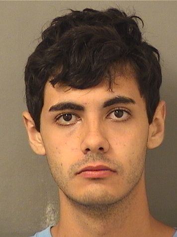  HUNTER PAUL GINGOLD Resultados de la busqueda para Palm Beach County Florida para  HUNTER PAUL GINGOLD