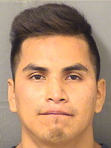  IRVIG GARCIAMARTINEZ Results from Palm Beach County Florida for  IRVIG GARCIAMARTINEZ