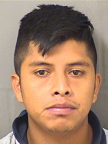 MAUDILIO AUDELINO RAMIREZRAMOS Results from Palm Beach County Florida for MAUDILIO AUDELINO RAMIREZRAMOS MAUDILIO AUDELINO RAMIREZRAMOS Results from Palm Beach County Florida for MAUDILIO AUDELINO RAMIREZRAMOS