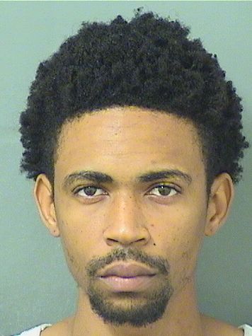  STEEVE J BONNY Results from Palm Beach County Florida for  STEEVE J BONNY