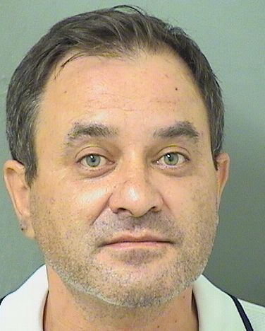  DANIEL AUREL INDREI Results from Palm Beach County Florida for  DANIEL AUREL INDREI