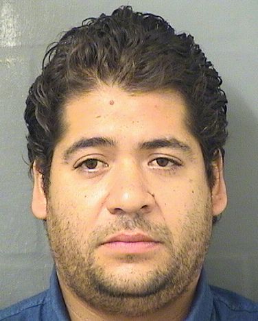  SAMUEL J GONZALEZ PULDO Results from Palm Beach County Florida for  SAMUEL J GONZALEZ PULDO