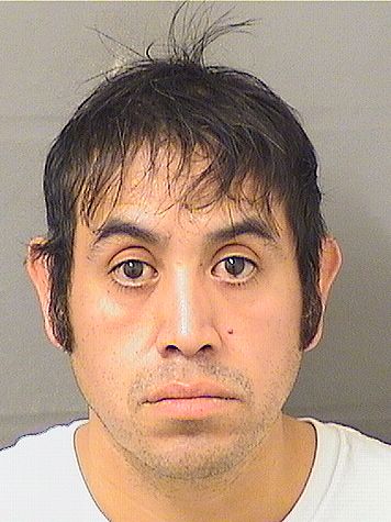  JOSE RAMON GONZALEZ MORA Results from Palm Beach County Florida for  JOSE RAMON GONZALEZ MORA
