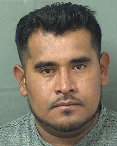  JAIME NINO MACEDA Resultados de la busqueda para Palm Beach County Florida para  JAIME NINO MACEDA