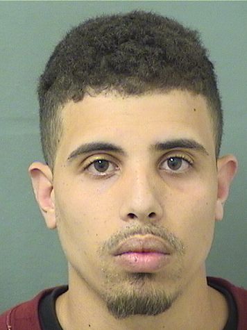  ESTEBAN ALEJANDRO RESSY Results from Palm Beach County Florida for  ESTEBAN ALEJANDRO RESSY