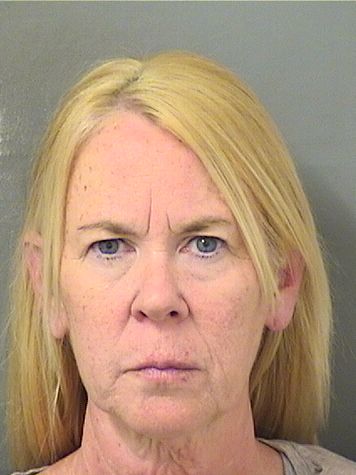 MARY ANNE MAYHEW Results from Palm Beach County Florida for MARY ANNE MAYHEW MARY ANNE MAYHEW Results from Palm Beach County Florida for MARY ANNE MAYHEW