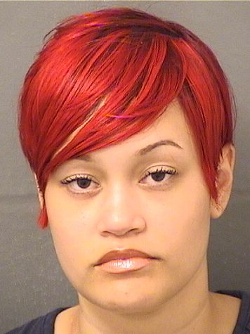  MARISOL N CASTRO Results from Palm Beach County Florida for  MARISOL N CASTRO