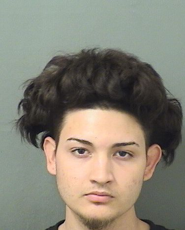  JAVIER R CERRATO Resultados de la busqueda para Palm Beach County Florida para  JAVIER R CERRATO