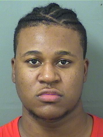  DAVID JOSUENEVIL PIERRE Results from Palm Beach County Florida for  DAVID JOSUENEVIL PIERRE
