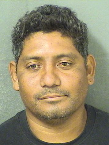 ELISEO DOMINQUEZDOMINQUEZ Results from Palm Beach County Florida for ELISEO DOMINQUEZDOMINQUEZ ELISEO DOMINQUEZDOMINQUEZ Results from Palm Beach County Florida for ELISEO DOMINQUEZDOMINQUEZ