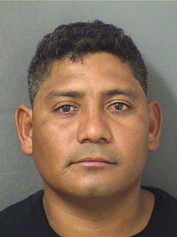  ELISEO DOMINGUEZDOMINGUEZ Results from Palm Beach County Florida for  ELISEO DOMINGUEZDOMINGUEZ