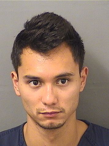  ISRAEL ARAUJO Results from Palm Beach County Florida for  ISRAEL ARAUJO