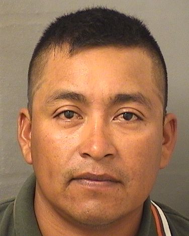 HONORATO BARRERA Photos For  HONORATO BARRERA  HONORATO BARRERA Photo For  HONORATO BARRERA