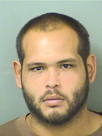  ANTHONY LUIS RODRIGUEZ Results from Palm Beach County Florida for  ANTHONY LUIS RODRIGUEZ