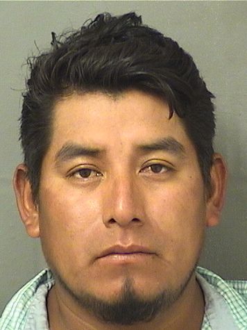  FELIMON VALENCIACRUZ Results from Palm Beach County Florida for  FELIMON VALENCIACRUZ