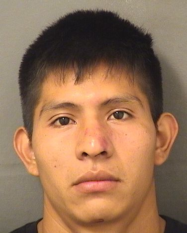  EFRAIN NOLASCO TOMAS LUIS Results from Palm Beach County Florida for  EFRAIN NOLASCO TOMAS LUIS