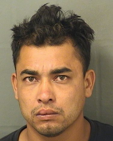  JOSE ADONIS MEIJAGRANADOS Results from Palm Beach County Florida for  JOSE ADONIS MEIJAGRANADOS