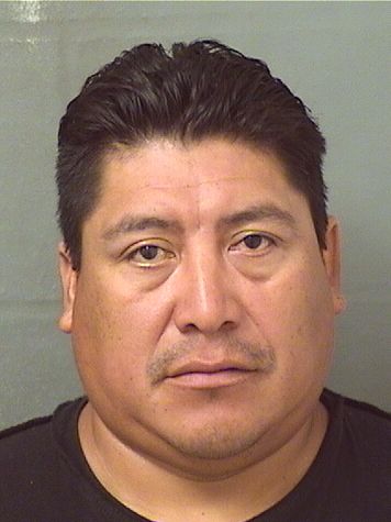  TOMAS MAURICIO CHUNRODRIGUEZ Results from Palm Beach County Florida for  TOMAS MAURICIO CHUNRODRIGUEZ