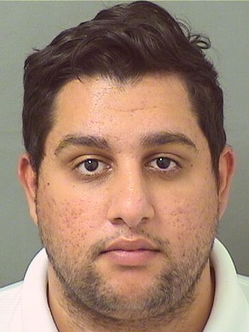  STEVEN RUSSELL JOHNSON Results from Palm Beach County Florida for  STEVEN RUSSELL JOHNSON