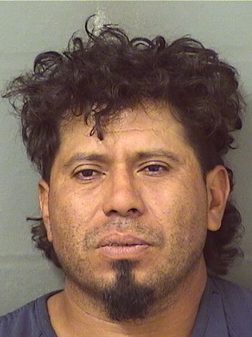  ROSENDO G MEDRANO Results from Palm Beach County Florida for  ROSENDO G MEDRANO