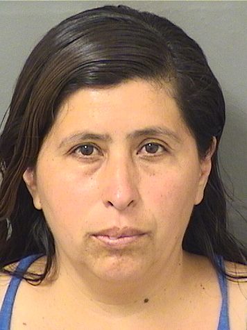  NANCY ELENA AGUIRREOROZCA Resultados de la busqueda para Palm Beach County Florida para  NANCY ELENA AGUIRREOROZCA