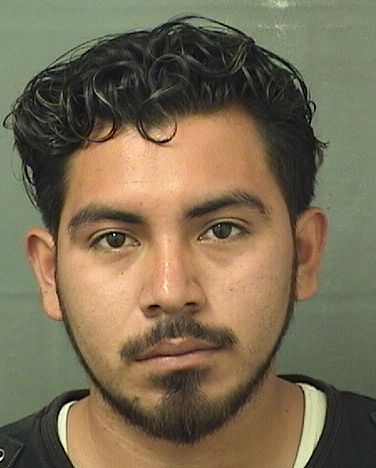  BYRON ENRIQUE FELIPEGOMEZ Results from Palm Beach County Florida for  BYRON ENRIQUE FELIPEGOMEZ