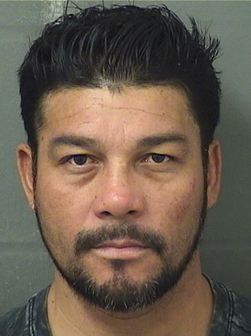  ALEJANDRO ANDRES GRANIFFO Results from Palm Beach County Florida for  ALEJANDRO ANDRES GRANIFFO