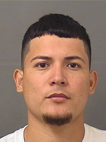  FELIX PALACIOSMONCADA Results from Palm Beach County Florida for  FELIX PALACIOSMONCADA