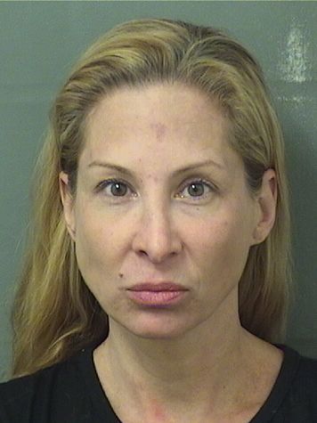  ROBYN MELISSA SHULMAN Results from Palm Beach County Florida for  ROBYN MELISSA SHULMAN