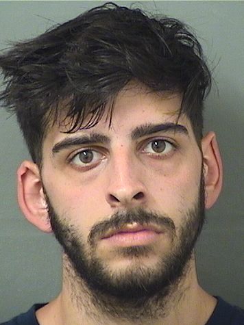  JOSEPH ALBERT Jr NABORRE Results from Palm Beach County Florida for  JOSEPH ALBERT Jr NABORRE