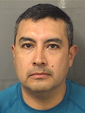  MARCO VINICIO GAVILANES Results from Palm Beach County Florida for  MARCO VINICIO GAVILANES