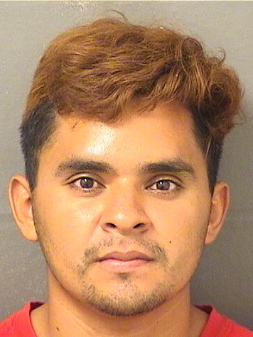  EDWARD DELVALLETELLC Results from Palm Beach County Florida for  EDWARD DELVALLETELLC