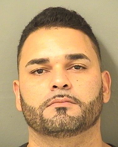  ANDRES ARROYOCHICO Results from Palm Beach County Florida for  ANDRES ARROYOCHICO