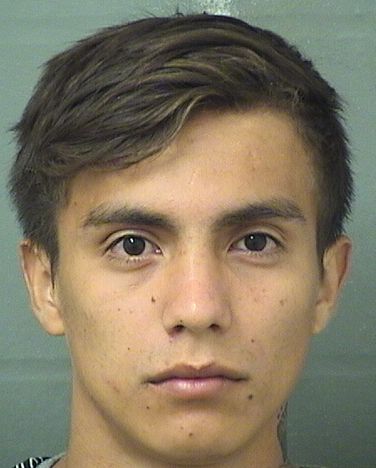  JOSE NOE MENDOZA Results from Palm Beach County Florida for  JOSE NOE MENDOZA