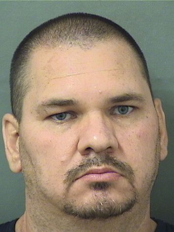  MICHAEL SHAWN MCDERMOTT Results from Palm Beach County Florida for  MICHAEL SHAWN MCDERMOTT