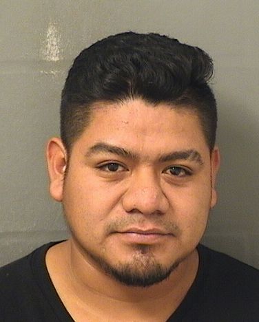  JULIO EDUARDO CRUZSOLIS Results from Palm Beach County Florida for  JULIO EDUARDO CRUZSOLIS