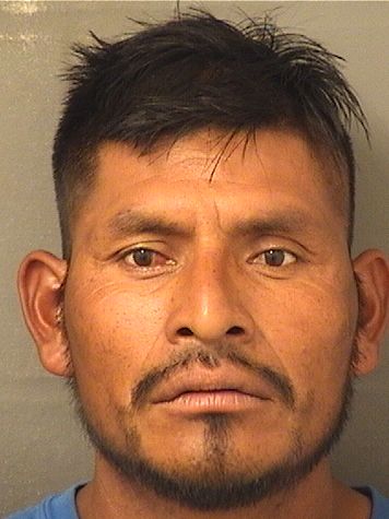  DIEGO F CASTANEDA Photo For  DIEGO F CASTANEDA