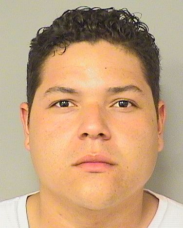  LUIS FERNANDO GUADAGNO Results from Palm Beach County Florida for  LUIS FERNANDO GUADAGNO