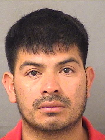  CANDELARIO GABRIEL SILVESTREMATEO Results from Palm Beach County Florida for  CANDELARIO GABRIEL SILVESTREMATEO