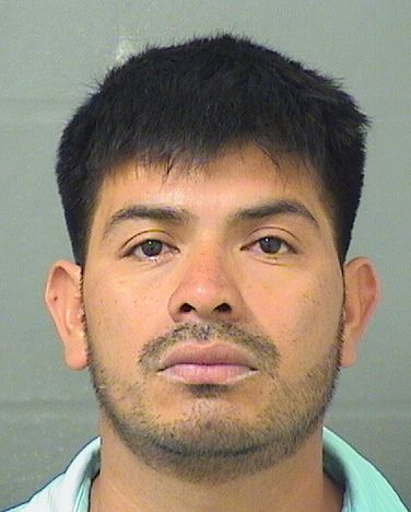  CANDELARIO GABRIEL SILVESTREMATEO Results from Palm Beach County Florida for  CANDELARIO GABRIEL SILVESTREMATEO