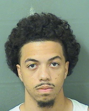  DIEGO A MOLINAQUIJADA Results from Palm Beach County Florida for  DIEGO A MOLINAQUIJADA